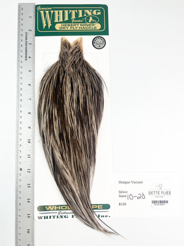 Unique Variant - Whiting Hebert Rooster Cape | Silver Grade