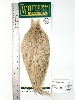 Pale Watery Dun - Whiting Hebert Rooster Cape | Silver Grade (#2)