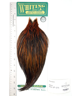 Furnace - Whiting Hebert Rooster Cape | Silver Grade (#2)