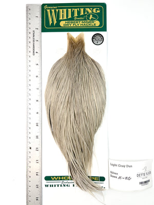 Light Gray Dun - Whiting Hebert Rooster Cape | Silver Grade (#2)