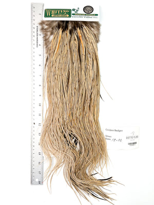 Golden Badger - Whiting Hebert Rooster Saddle | Silver Grade (#2)