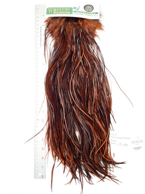 dyed Coachman Brown - Whiting Hebert Rooster Saddle | Silver Grade (#2)