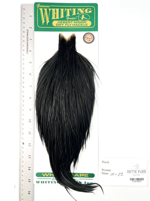 Black - Whiting Hebert Rooster Cape | Bronze Grade (#3)