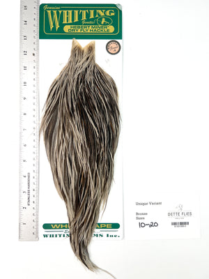 Unique Variant - Whiting Hebert Rooster Cape | Bronze Grade