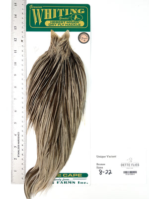 Unique Variant - Whiting Hebert Rooster Cape | Bronze Grade
