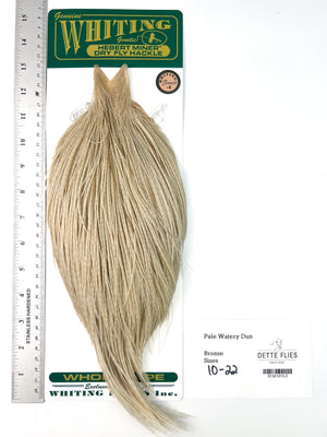 Pale Watery Dun - Whiting Hebert Rooster Cape | Bronze Grade