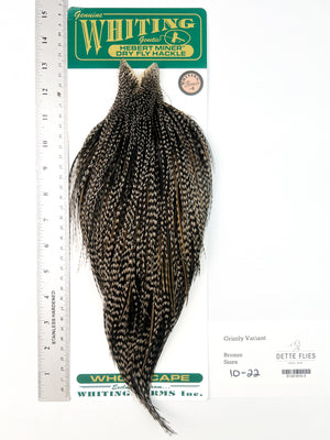 Grizzly Variant - Whiting Hebert Rooster Cape | Bronze Grade