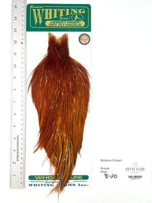 Medium Ginger - Whiting Hebert Rooster Cape | Bronze Grade