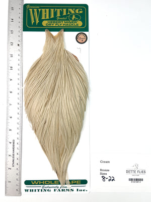 Cream - Whiting Hebert Rooster Cape | Bronze Grade