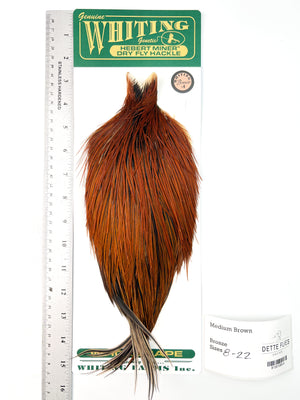 Medium Brown - Whiting Hebert Rooster Cape | Bronze Grade (#4)