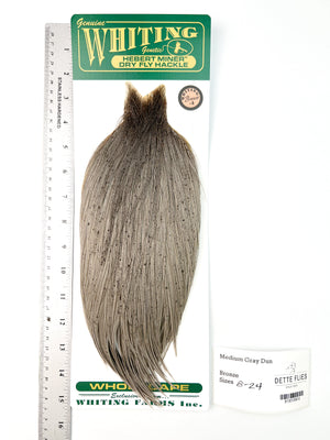 Medium Gray Dun - Whiting Hebert Rooster Cape | Bronze Grade (#5)