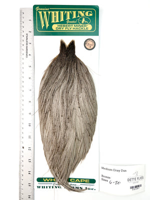 Medium Gray Dun - Whiting Hebert Rooster Cape | Bronze Grade (#7)