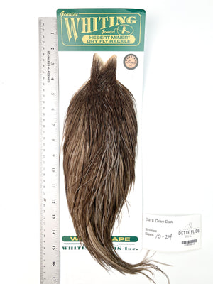 Dark Gray Dun - Whiting Hebert Rooster Cape | Bronze Grade (#3)