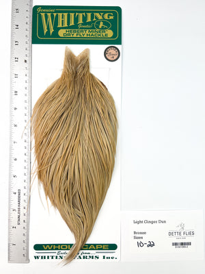 Light Ginger Dun - Whiting Hebert Rooster Cape | Bronze Grade