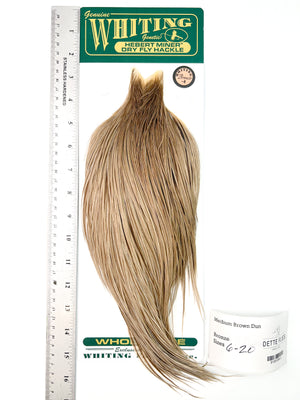 Medium Brown Dun - Whiting Hebert Rooster Cape | Bronze Grade (#3)