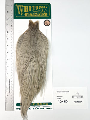 Light Gray Dun - Whiting Hebert Rooster Cape | Bronze Grade