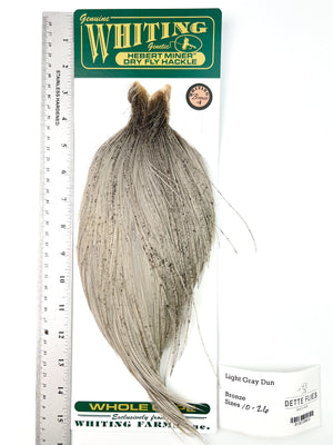 Light Gray Dun - Whiting Hebert Rooster Cape | Bronze Grade (#3)