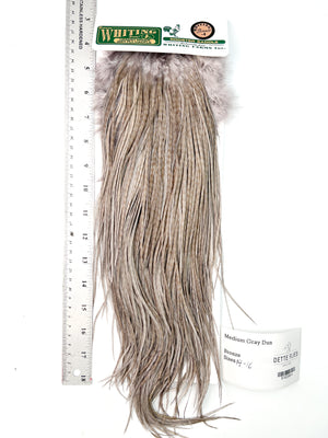 Medium Gray Dun - Whiting Hebert Rooster Saddle | Bronze Grade (#4)