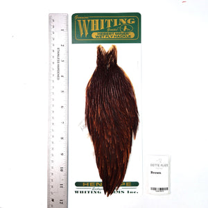 Brown - Whiting Hebert Hen Cape (#8)