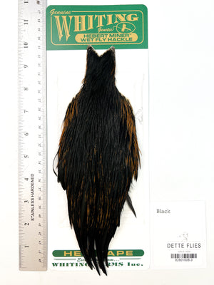 Black - Whiting Hebert Hen Cape