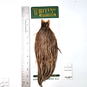 Unique Variant - Whiting Hebert Hen Cape (#5)