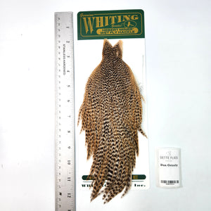 Dun Grizzly - Whiting Hebert Hen Cape (#4)