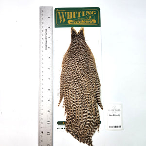 Dun Grizzly - Whiting Hebert Hen Cape (#5)