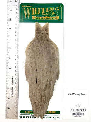 Pale Watery Dun - Whiting Hebert Hen Cape