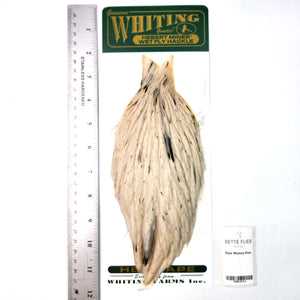 Pale Watery Dun - Whiting Hebert Hen Cape (#4)