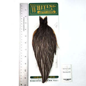 Dark Gray Dun - Whiting Hebert Hen Cape (#6)