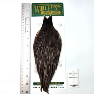 Dark Gray Dun - Whiting Hebert Hen Cape (#7)
