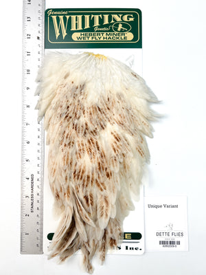 Unique Variant - Whiting Hebert Hen Saddle