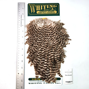 Dun Grizzly - Whiting Hebert Hen Saddle (#4)