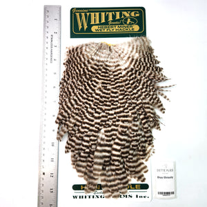 Dun Grizzly - Whiting Hebert Hen Saddle (#5)