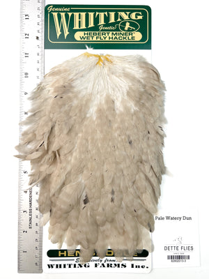 Pale Watery Dun - Whiting Hebert Hen Saddle