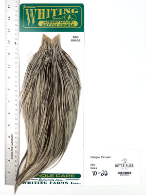 Unique Variant - Whiting Hebert Rooster Cape | Pro Grade