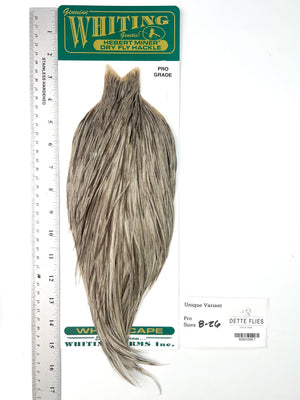 Unique Variant - Whiting Hebert Rooster Cape | Pro Grade (#7)