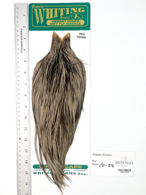 Unique Variant - Whiting Hebert Rooster Cape | Pro Grade (#8)