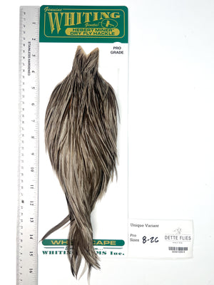 Unique Variant - Whiting Hebert Rooster Cape | Pro Grade (#9)