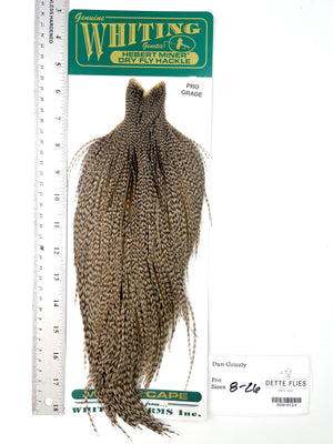 Dun Grizzly - Whiting Hebert Rooster Cape | Pro Grade (#4)