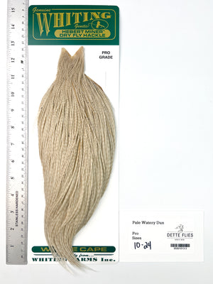 Pale Watery Dun - Whiting Hebert Rooster Cape | Pro Grade