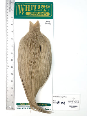 Pale Watery Dun - Whiting Hebert Rooster Cape | Pro Grade (#4)