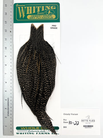 Grizzly Variant - Whiting Hebert Rooster Cape | Pro Grade