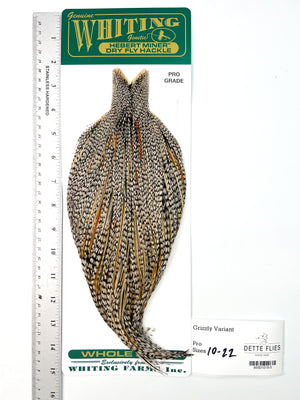 Grizzly Variant - Whiting Hebert Rooster Cape | Pro Grade (#5)