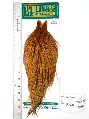 Barred Dark Ginger - Whiting Hebert Rooster Cape | Pro Grade (#3)