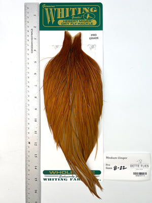 Medium Ginger - Whiting Hebert Rooster Cape | Pro Grade (#3)