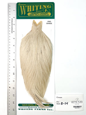 Cream - Whiting Hebert Rooster Cape | Pro Grade (#3)