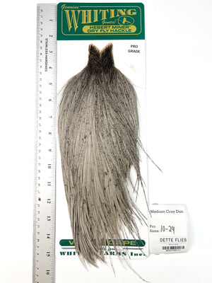 Medium Gray Dun - Whiting Hebert Rooster Cape | Pro Grade (#11)