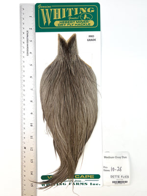 Medium Gray Dun - Whiting Hebert Rooster Cape | Pro Grade (#12)