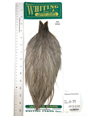 Medium Gray Dun - Whiting Hebert Rooster Cape | Pro Grade (#14)